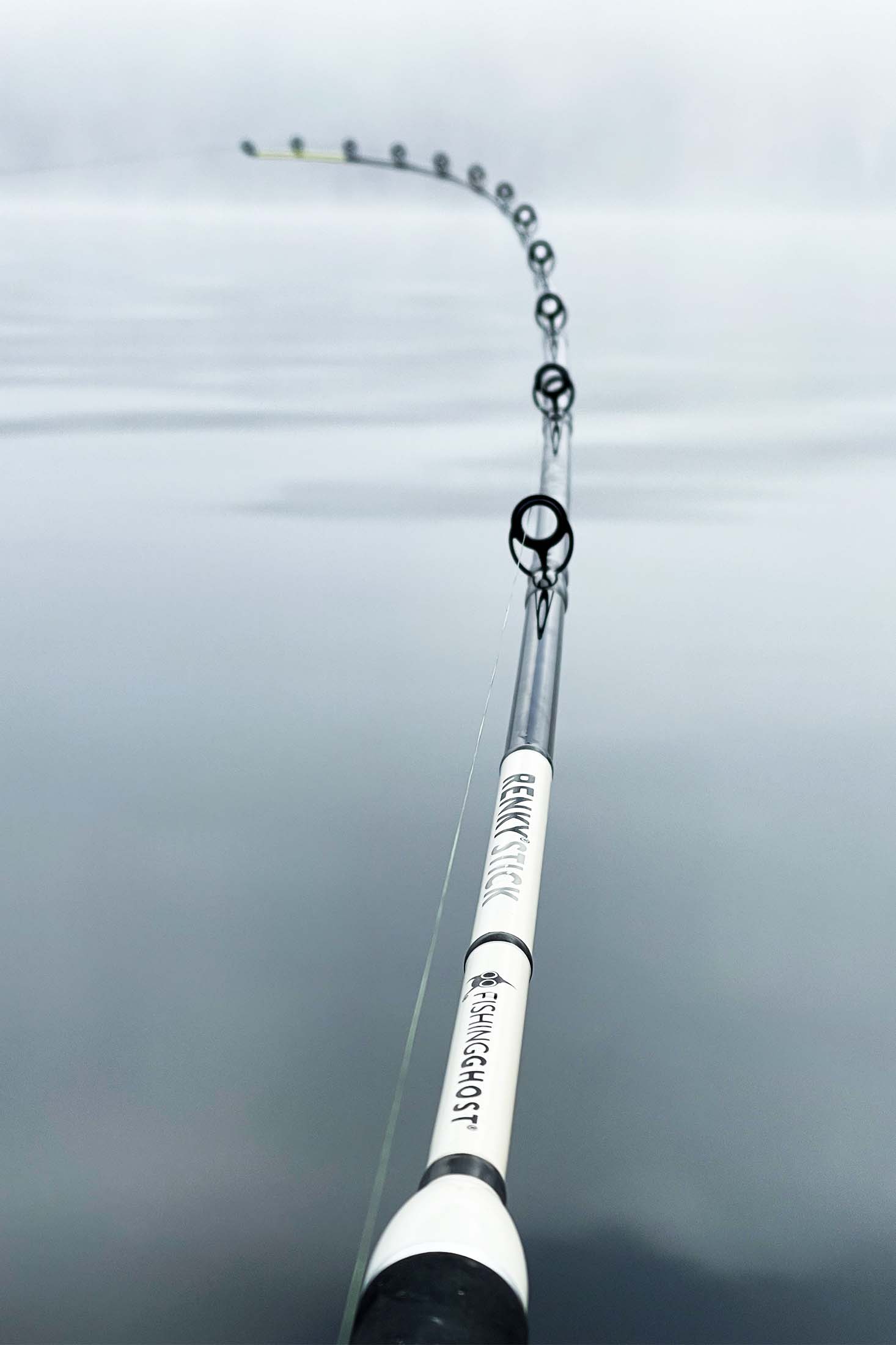 Fishing Ghost - Renky Stick - FULL CARBON Trolling Rod - 2,70m - 50-180gr -  FishXplorer